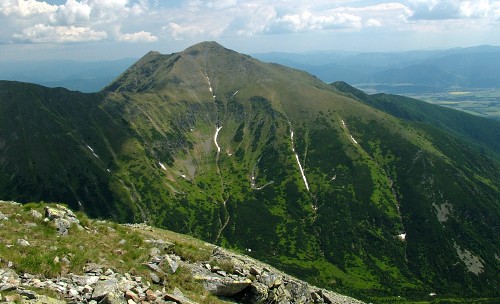Baranec